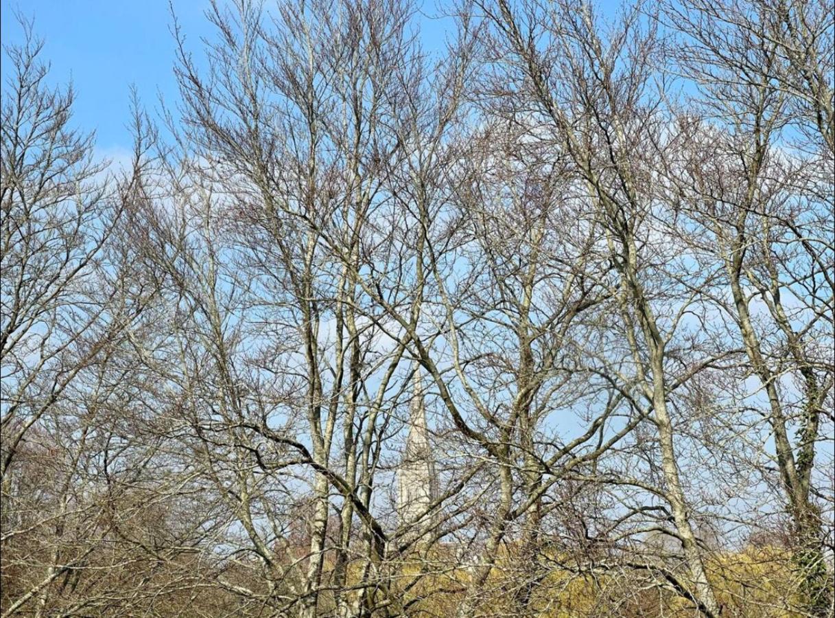 Close To Salisbury Cathedral Екстериор снимка